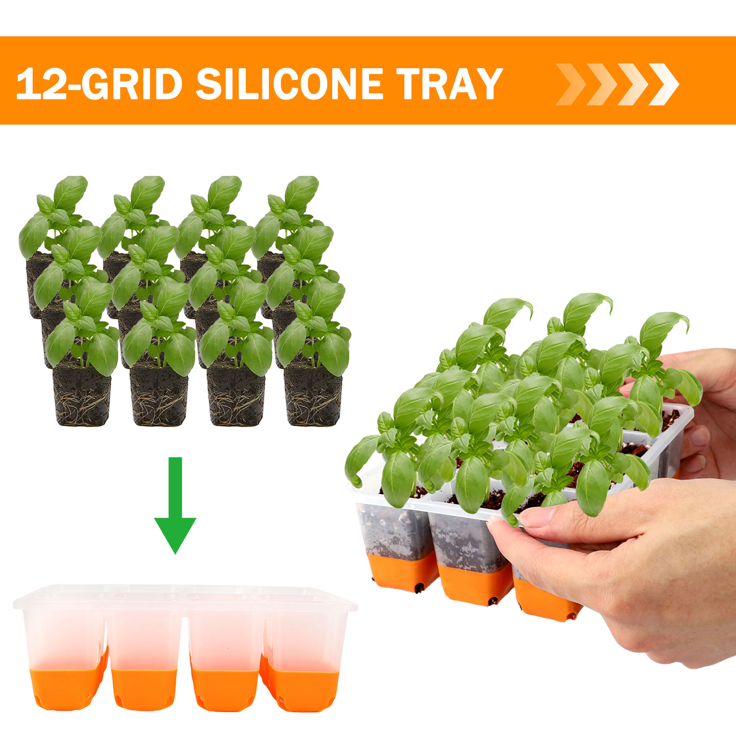 Seed Starter Trays - ถาดเพาะเมล็ดสีส้ม 5/10 (รวมถาด 60/120 ช่อง) ถาดเพาะเมล็ด