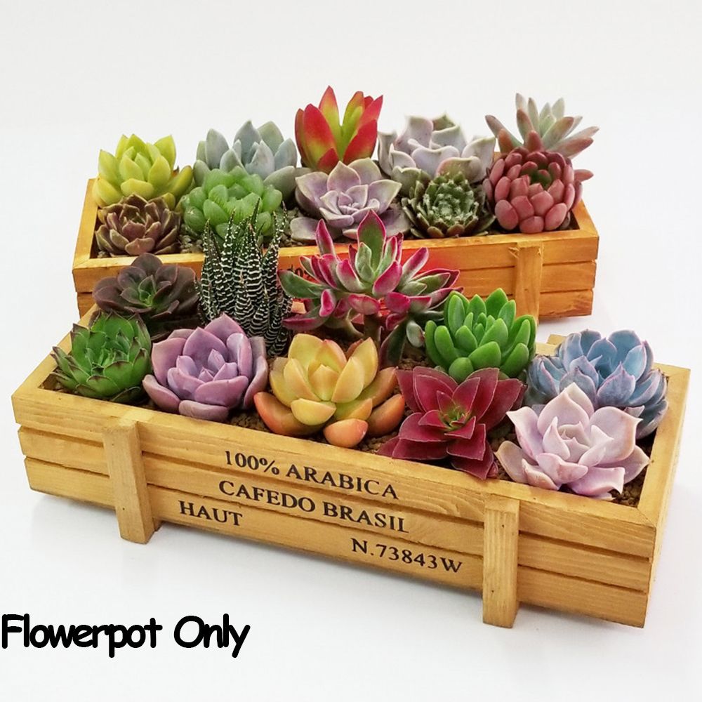 Gardening Tools Green - กระถางตกแต่งสวน1อุปกรณ์ลอกฟิล์มกล่องไม้อวบน้ำแจกันทรงสี่เหลี่ยมผืนผ้ากระถางต้นไม้ทำจากไม้ทรงลังไม้สไตล์วินเทจ