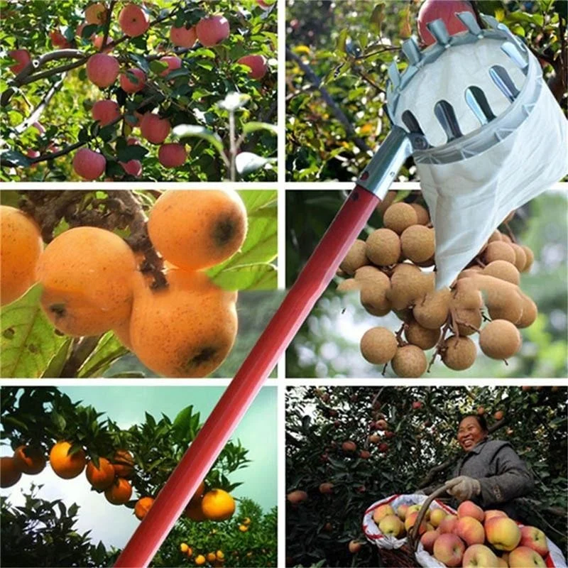 Grow Bags - เครื่องมือเก็บผลไม้ในสวน สำหรับสวนผลไม้ ต้นพีช ต้นแอปเปิ้ล ต้นไม้สูง ทำจากโลหะ