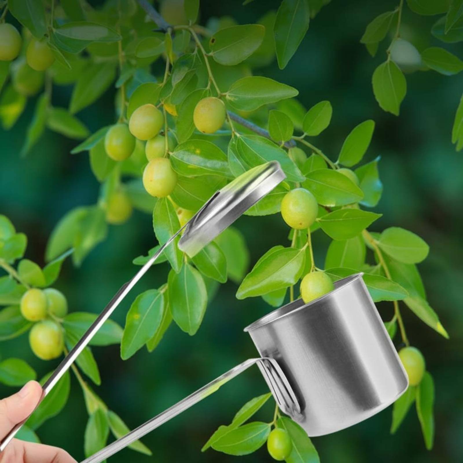 Gardening Tools And Uses - ที่เก็บผลไม้แบบถ้วย สแตนเลส เครื่องมือเก็บผลไม้ อุปกรณ์ทำสวน โลหะทั้งหมด ใช้งานง่าย