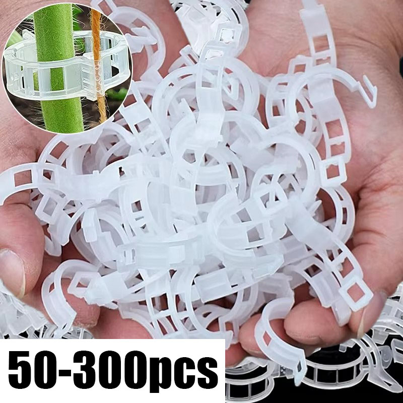 คลิปหนีบยึดต้นไม้แบบใช้ซ้ำได้  - Gardening Tools For Vines บทวิจารณ์และราคา