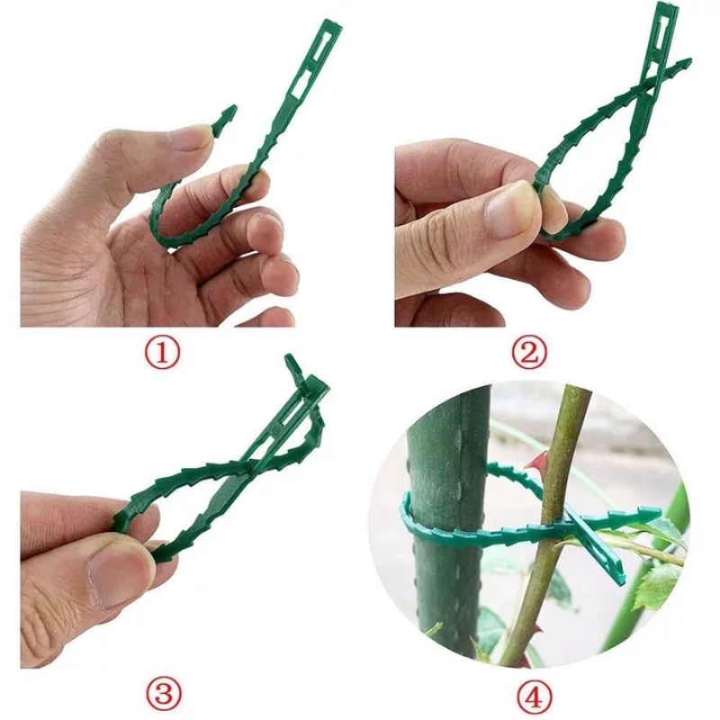 สายรัดต้นไม้แบบใช้ซ้ำได้ สำหรั - Gardening Tools For Vines บทวิจารณ์และราคา