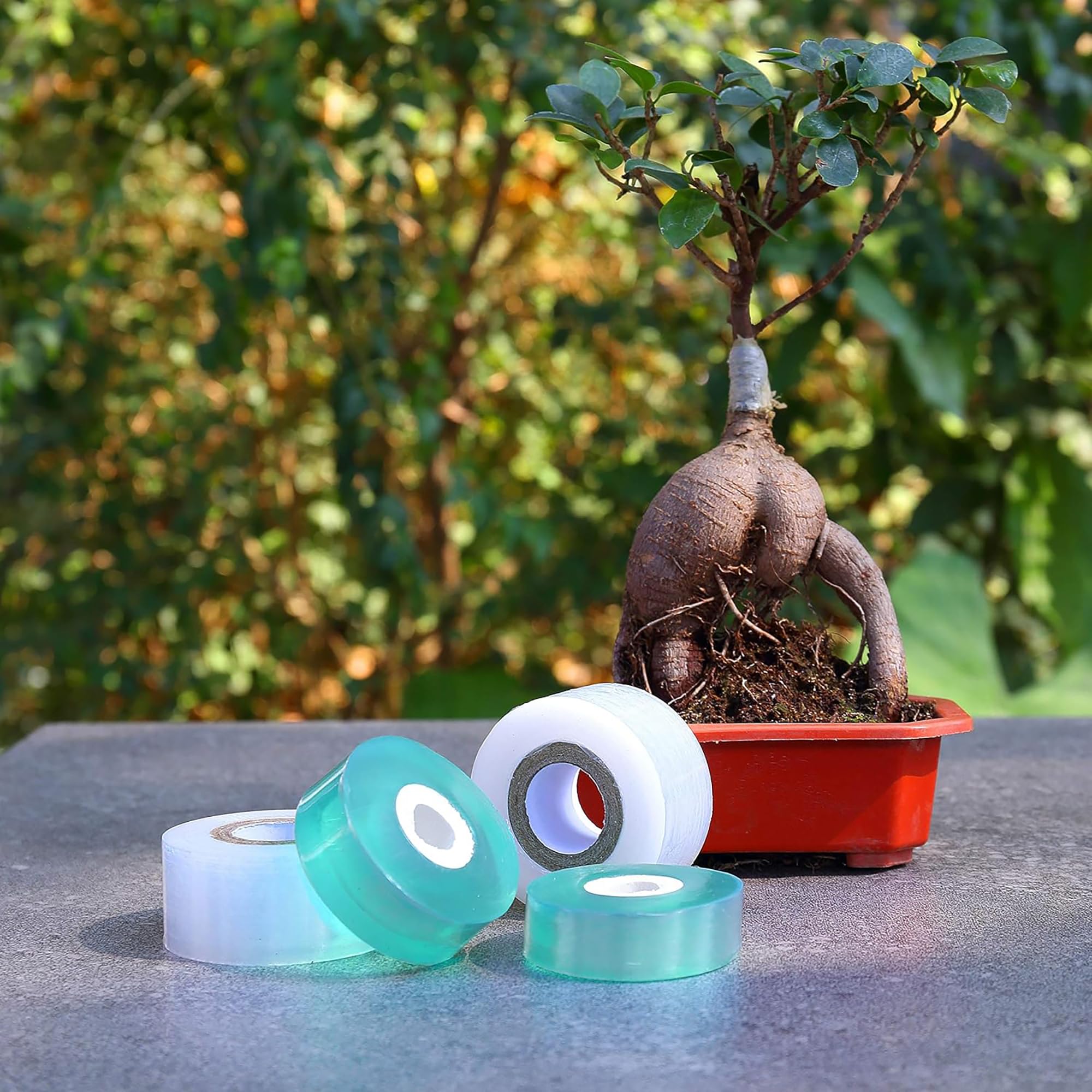 เทปพันกิ่งต้นไม้แบบย่อยสลายได้ - Gardening Tools And Uses บทวิจารณ์และราคา