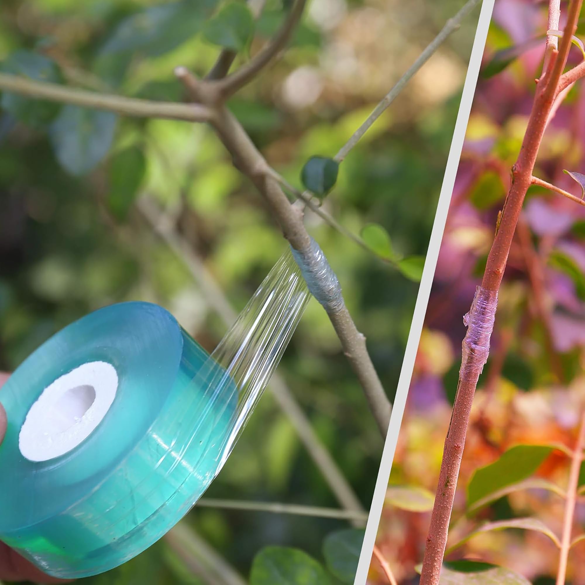 เทปพันกิ่งต้นไม้แบบย่อยสลายได้ - Gardening Tools And Uses บทวิจารณ์และราคา