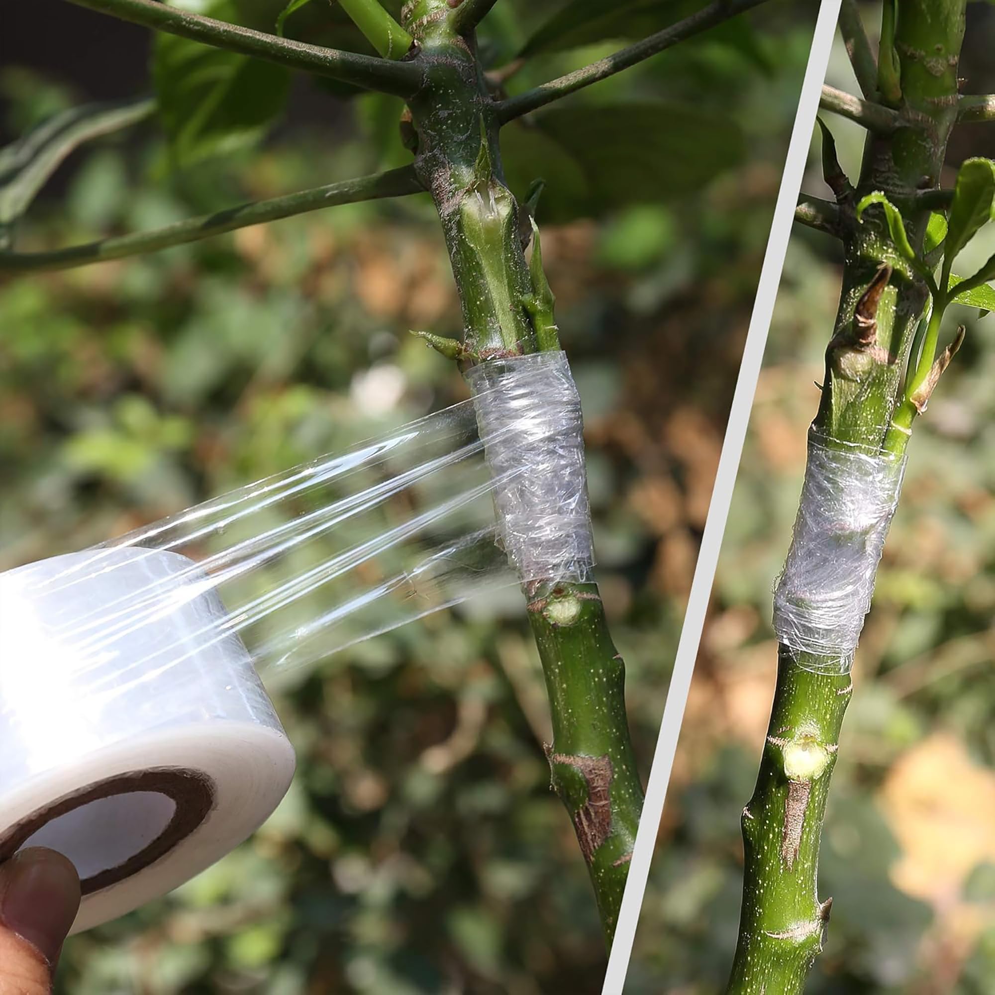 เทปพันกิ่งต้นไม้แบบย่อยสลายได้ - Gardening Tools And Uses บทวิจารณ์และราคา