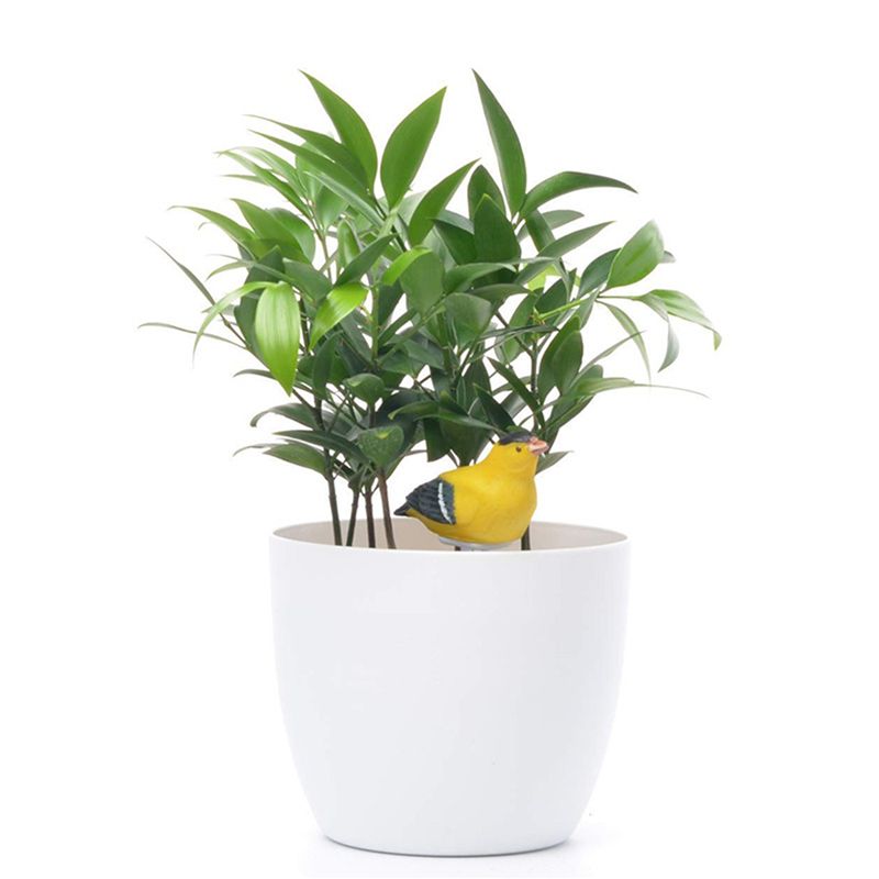 8X เครื่องวัดความชื้นในดิน นาฬ - Gardening Tools Yellow บทวิจารณ์และราคา