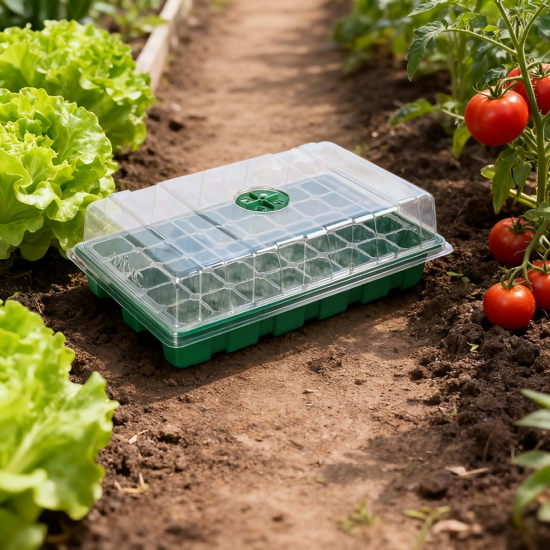 ชุดถาดเพาะกล้า 1/5 ชิ้น - ถาดเ - Seed Starter Trays บทวิจารณ์และราคา