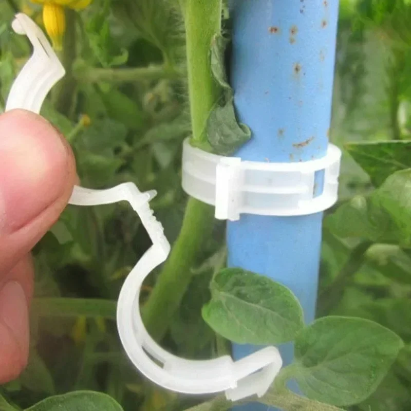 คลิปยึดต้นไม้แบบใช้ซ้ำได้ คลิป - Gardening Tools For Vines บทวิจารณ์และราคา