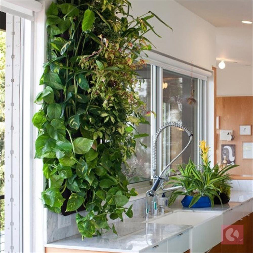 กระเป๋าแขวนผนังสำหรับปลูกต้นไม - Grow Bags บทวิจารณ์และราคา