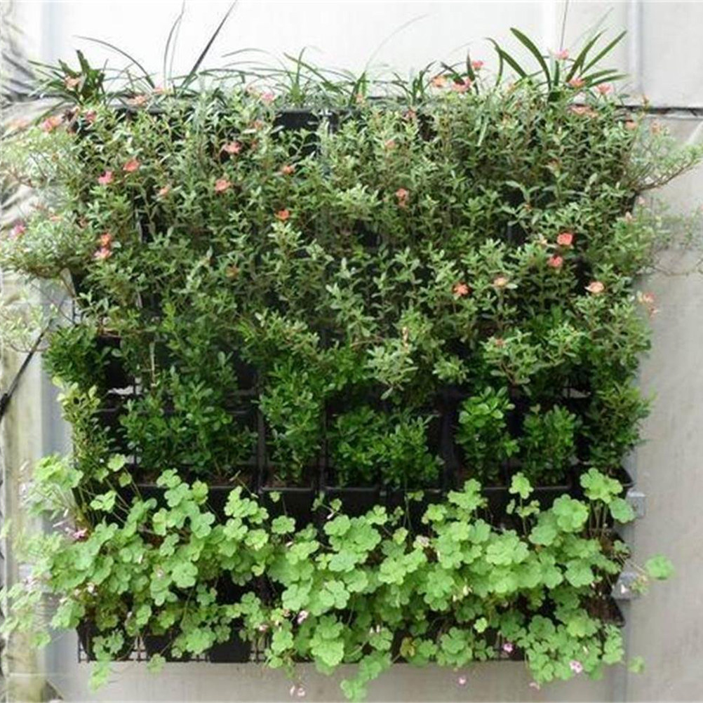 กระเป๋าแขวนผนังสำหรับปลูกต้นไม - Grow Bags บทวิจารณ์และราคา