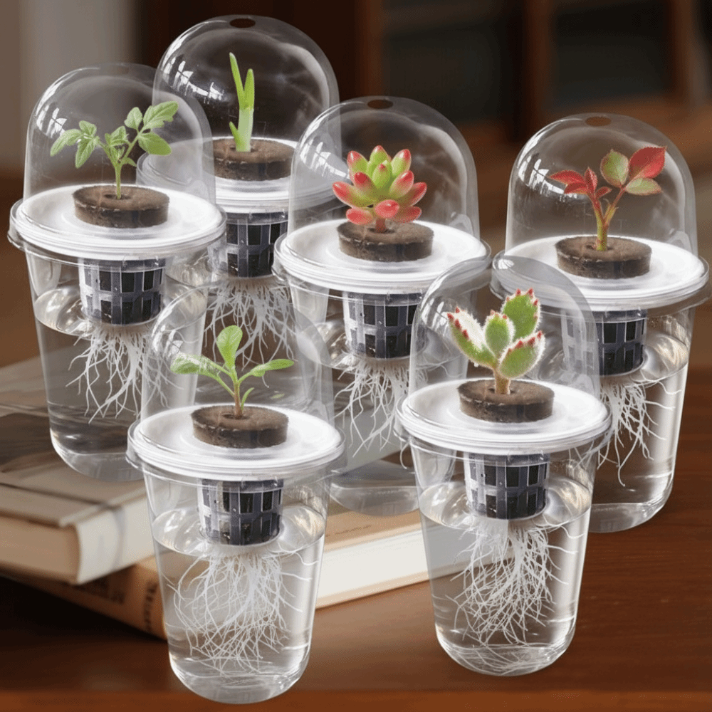 ถ้วยเพาะเมล็ดแบบใส 1-5 ชิ้น สำ - Seed Starter Trays บทวิจารณ์และราคา