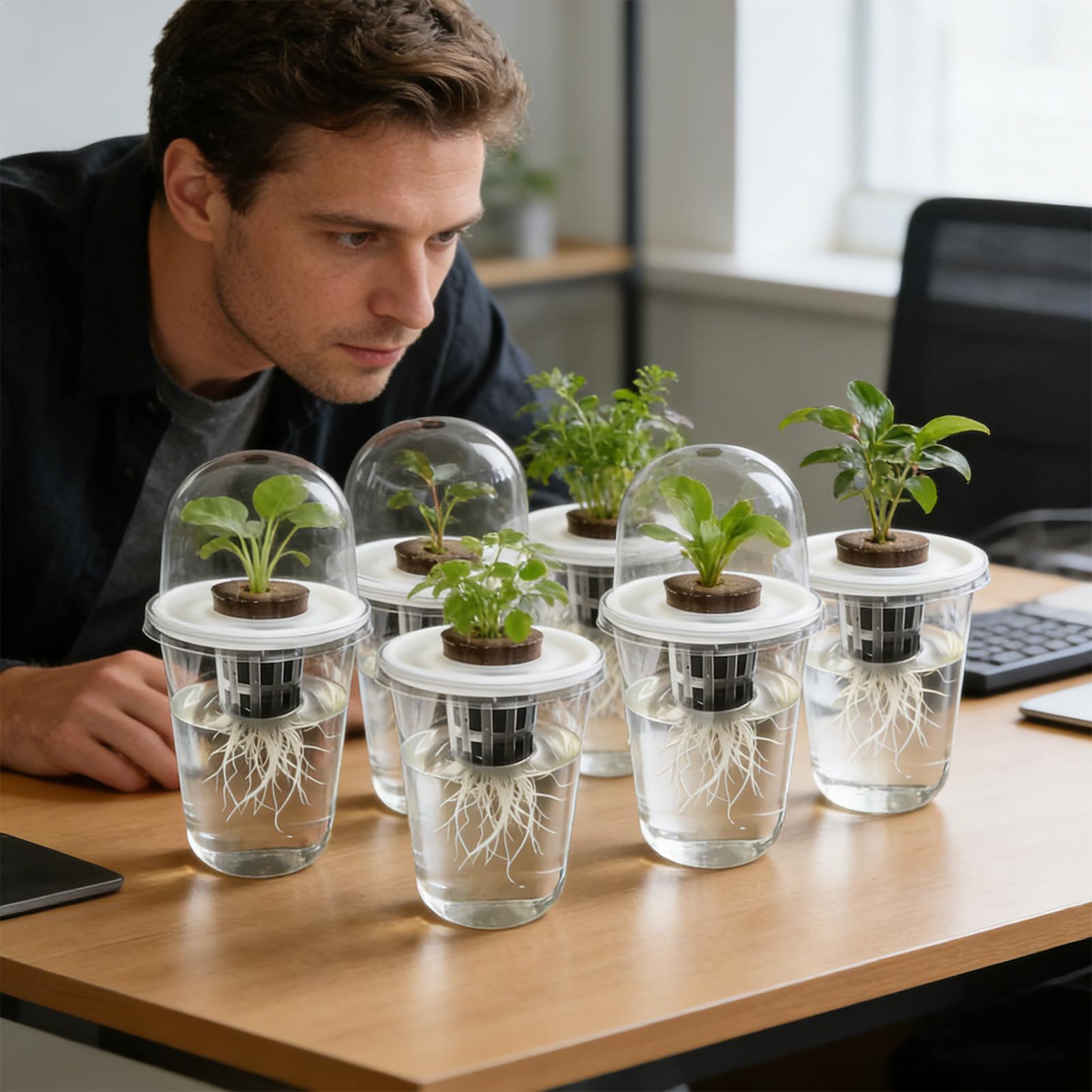 ถ้วยเพาะเมล็ดแบบใส 1-5 ชิ้น สำ - Seed Starter Trays บทวิจารณ์และราคา