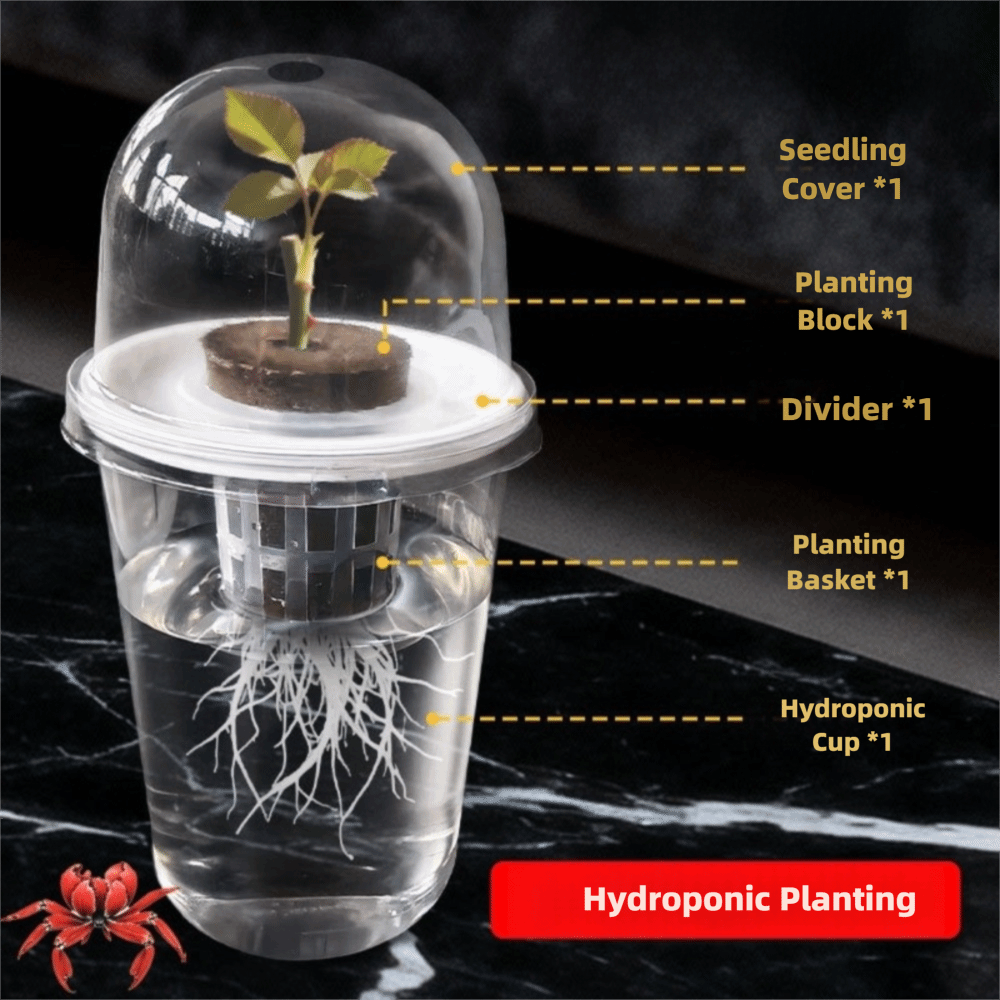 ถ้วยเพาะเมล็ดแบบใส 1-5 ชิ้น สำ - Seed Starter Trays บทวิจารณ์และราคา