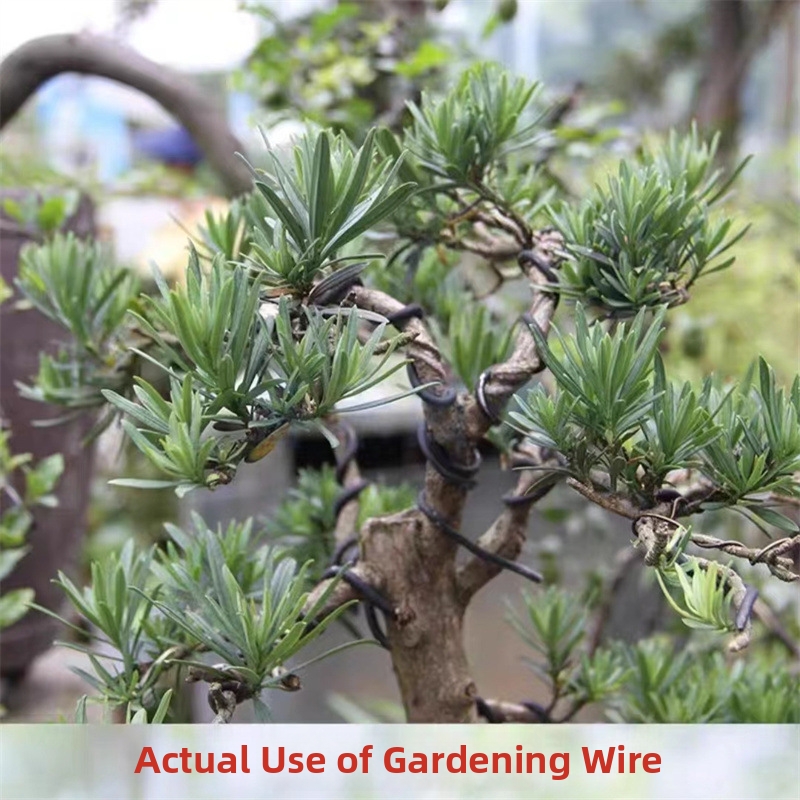 ลวดบอนไซอะลูมิเนียมขนาด 1.5 มม - Gardening Tools And Uses บทวิจารณ์และราคา