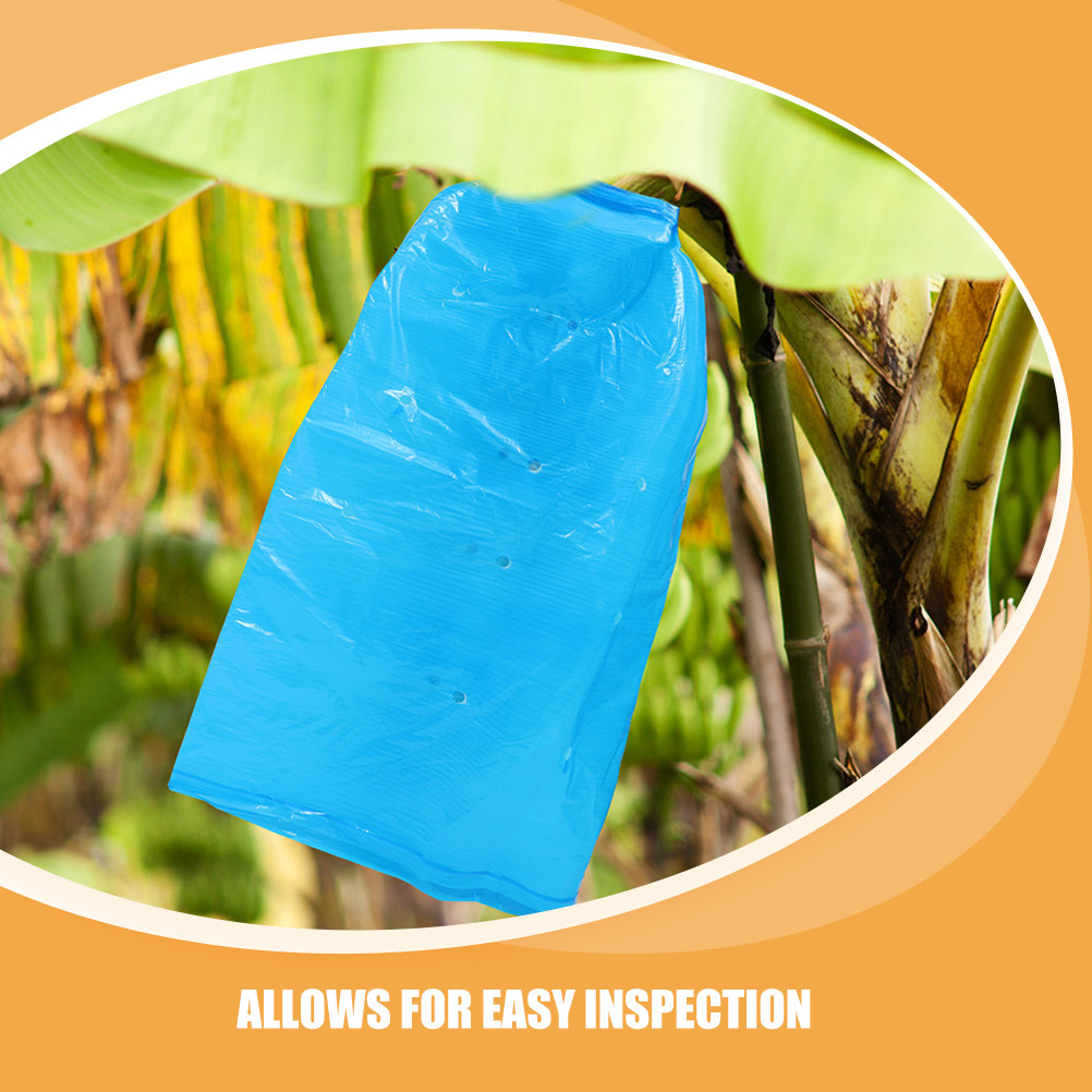 ถุงปลูกกล้วย 2 ชิ้น ปลอกป้องกั - Grow Bags บทวิจารณ์และราคา