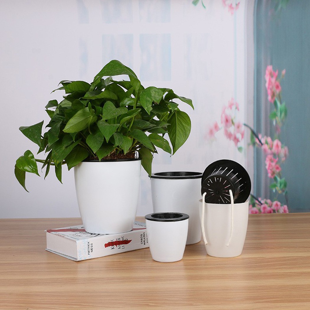 กระถางรดน้ำต้นไม้อัตโนมัติกระถ - Gardening Tools Green บทวิจารณ์และราคา