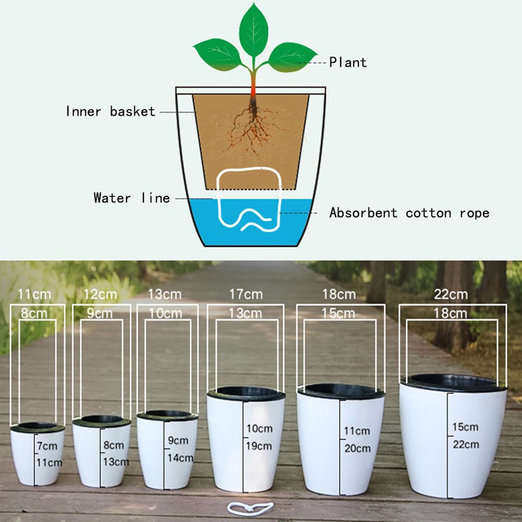 กระถางรดน้ำต้นไม้อัตโนมัติกระถ - Gardening Tools Green บทวิจารณ์และราคา