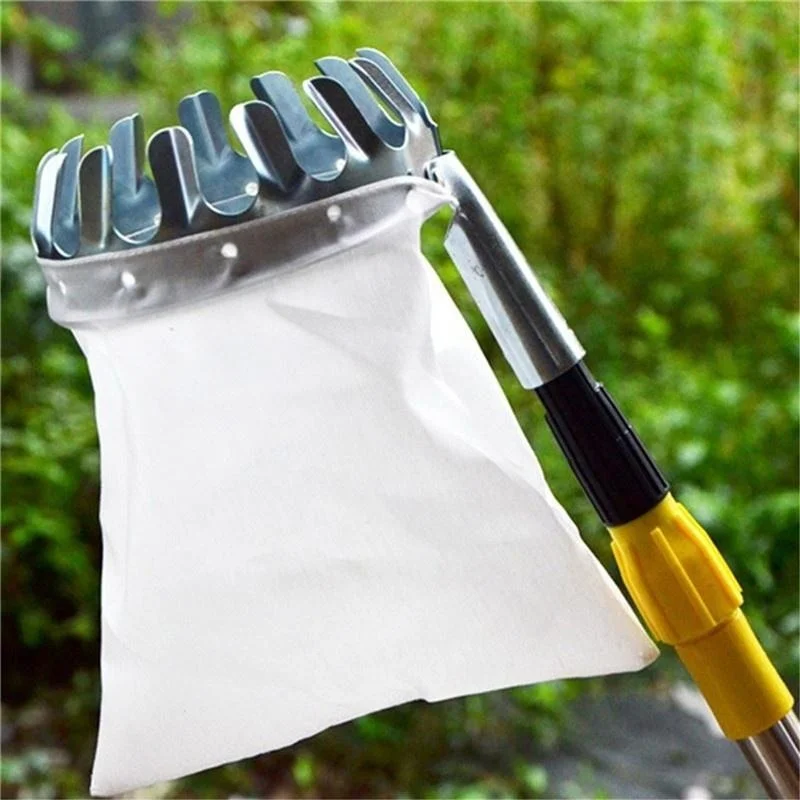 เครื่องมือเก็บผลไม้ในสวน สำหรั - Grow Bags บทวิจารณ์และราคา