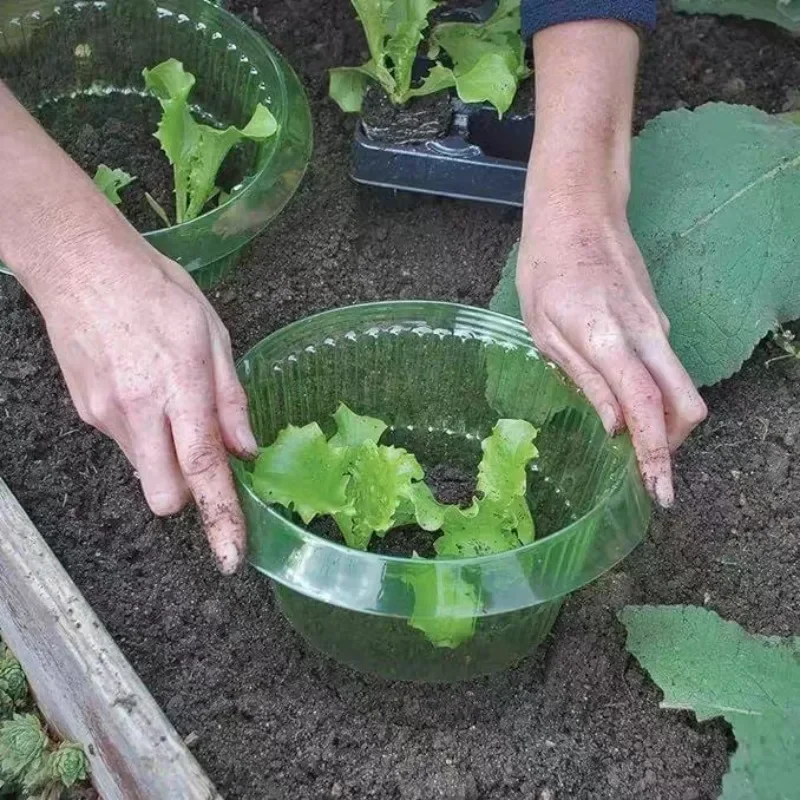 พืช Slug ป้องกันแหวนผักฝาครอบพ - Gardening Tools Green บทวิจารณ์และราคา