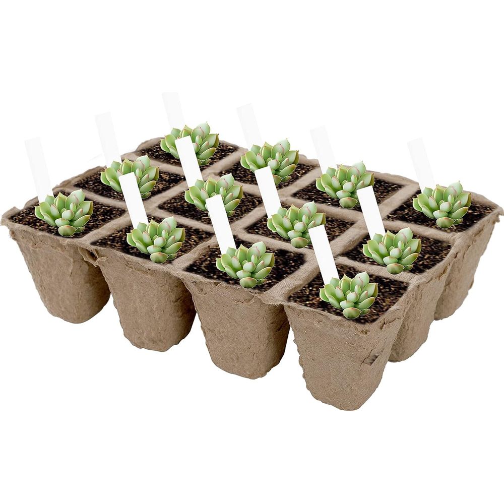 ถาดเพาะเมล็ดพีท 40 แพ็ค, ถาดเพ - Seed Starter Trays บทวิจารณ์และราคา