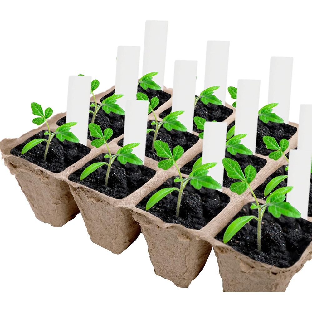 ถาดเพาะเมล็ดพีท 40 แพ็ค, ถาดเพ - Seed Starter Trays บทวิจารณ์และราคา