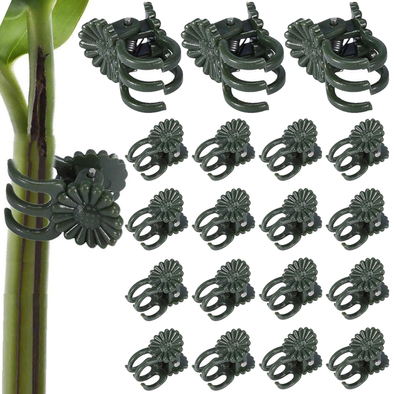 คลิปหนีบต้นไม้20/50/100ชิ้นคลิ - Gardening Tools For Vines บทวิจารณ์และราคา
