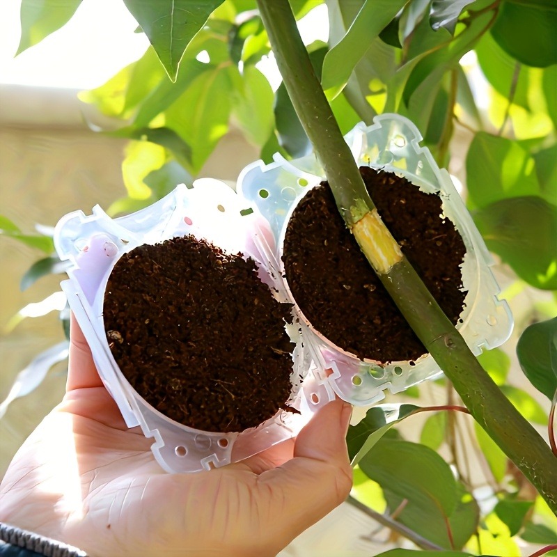 ชุดอุปกรณ์ขยายพันธุ์พืชแบบแรงด - Gardening Tools And Uses บทวิจารณ์และราคา