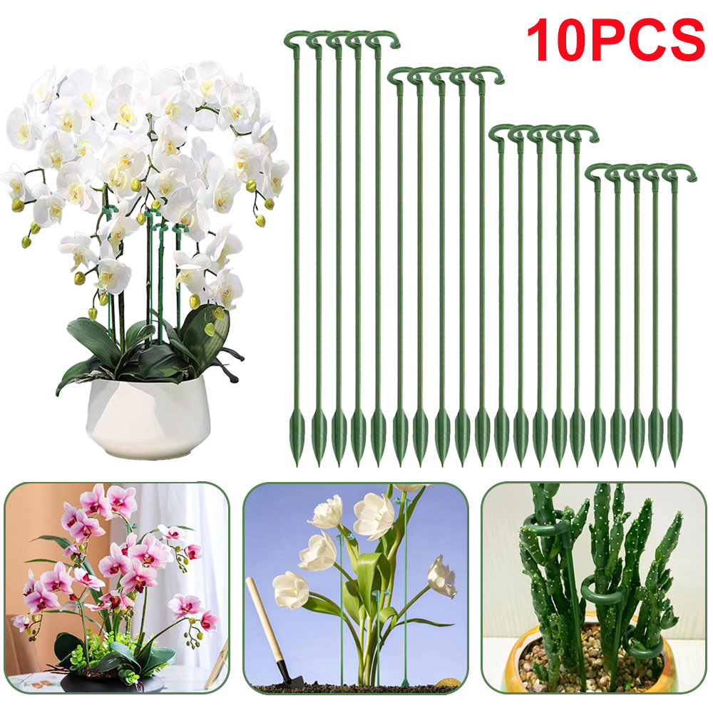 เสาค้ำต้นไม้ 5/10 ชิ้น สำหรับย - Gardening Tools Holder บทวิจารณ์และราคา