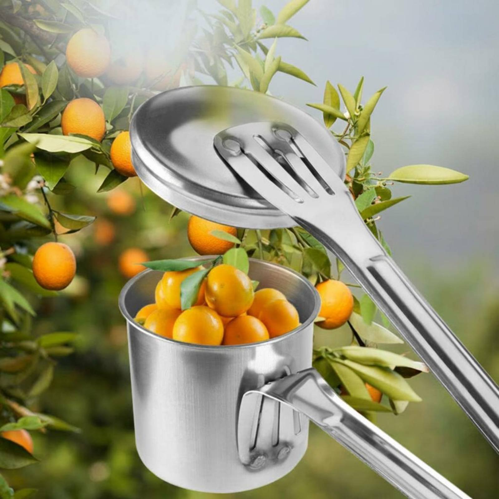 ที่เก็บผลไม้แบบถ้วย สแตนเลส เค - Gardening Tools And Uses บทวิจารณ์และราคา